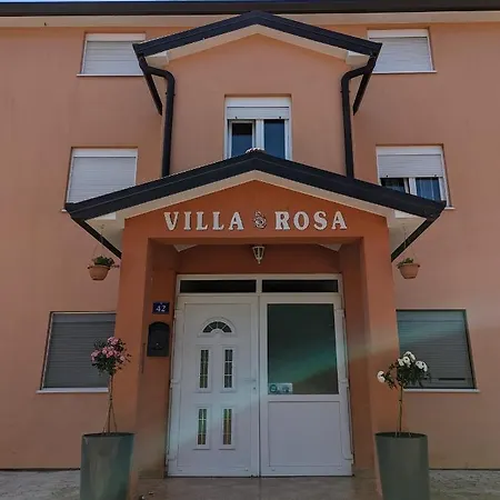 Rosa *