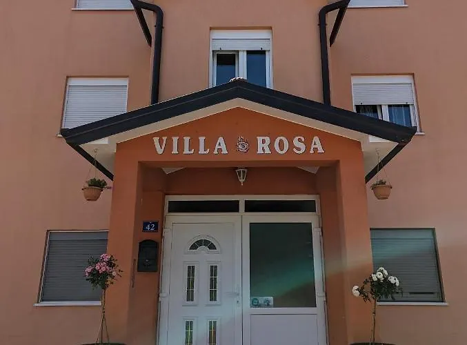 Rosa *